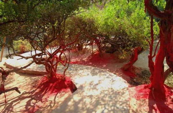 यहां चहुंओर राधा-कृष्ण की गूंज सुनाई देती है