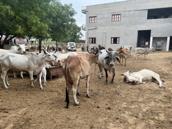  राजस्‍थान सरकार ने की सहयोग की अपील