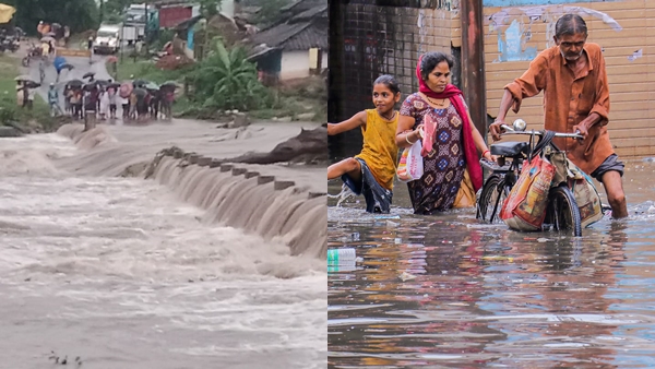 सैकड़ों एकड़ की फसलें चौपट 