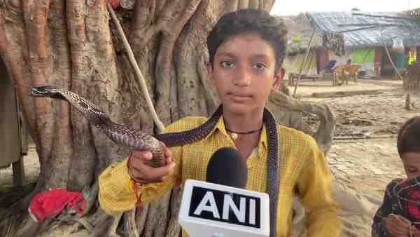 पैसे कमाने के लिए दिखाते है सांप का खेल