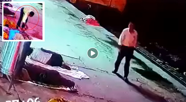 वायरल हो रहा वीडियो वायरल हो रहा वीडियो