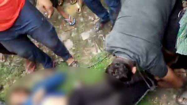 भूल से दूसरे ट्रक की केबिन में घुस गया भूल से दूसरे ट्रक की केबिन में घुस गया