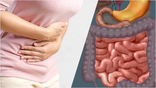 आंतों की समस्याओं का होगा अंत आंतों की समस्याओं का होगा अंत