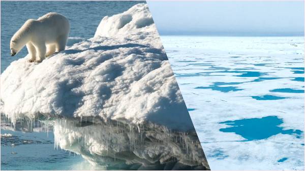 समुद्र में हलचल खतरे में दुनिया