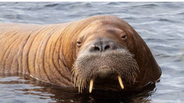 फ्रेया के लिए लोगों से प्रेम करना गुनाह हो गया