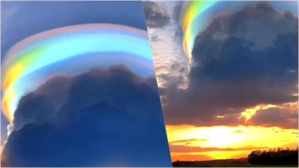 वीडियो हुआ वायरल