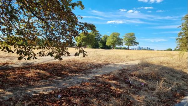 सूखे की मार झेल रहा यूरोप