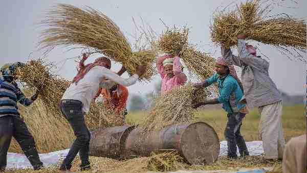 खरीब सीजन में 1,120 लाख टन चावल उत्पादन का लक्ष्य