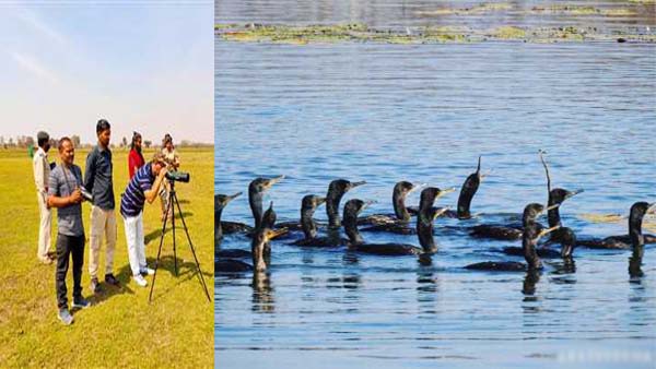 वर्ष भर होता है पक्षियों का आगमन