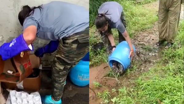 एनिमल वेलफेयर सोसायटी को की गई खबर एनिमल वेलफेयर सोसायटी को की गई खबर