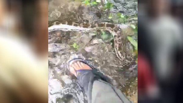 बारिश के मौसम में सतर्क रहने की जरुरत बारिश के मौसम में सतर्क रहने की जरुरत