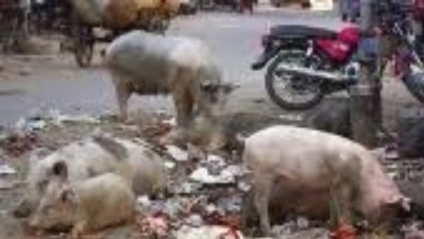 बच्चों पर भी मंडरा रहा खतरा बच्चों पर भी मंडरा रहा खतरा