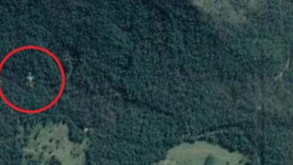 ऑस्ट्रेलिया के वर्षावन में दिखा