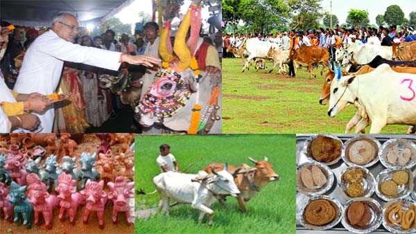 छत्तीसगढ़ का पारंपरिक त्योहार छत्तीसगढ़ का पारंपरिक त्योहार