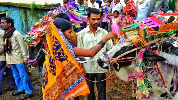 इस तरह मनाया जाता हैं पोरा तिहार इस तरह मनाया जाता हैं पोरा तिहार