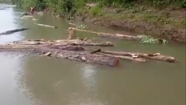 नरसिंहपुर की नदी से बहाकर लाई गई लाखों रुपए कीमत की लकड़ी जब्त 
