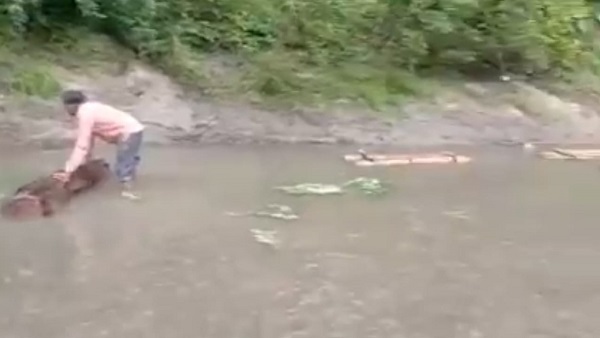 नरसिंहपुर और सागर जिले की वनसीमा से लगी है बरांझ नदी