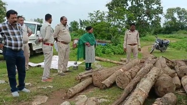 सूचना के बाद टीमें भेजकर लकड़ी बरामद कराई गई है