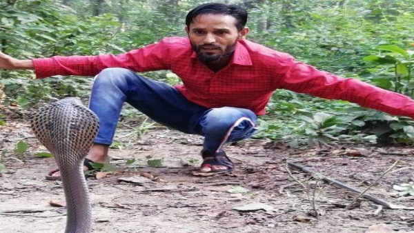 पड़ोसियों के घर पर टीवी देखते सीखा सांप पकड़ना पड़ोसियों के घर पर टीवी देखते सीखा सांप पकड़ना