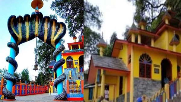 द्वारिका छोड़कर कालिया नाग को अपने दर्शन दिए