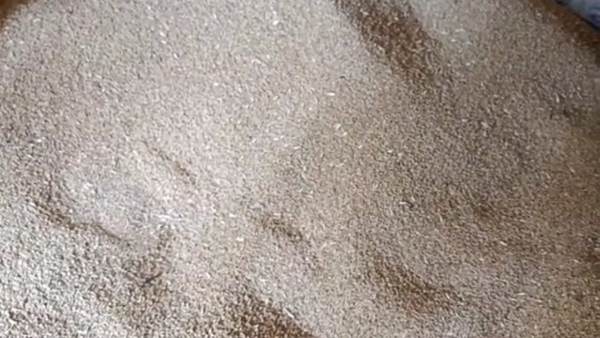 जहरीले सांप से भी ज्यादा खतरनाक है भ्रष्टाचार का सांप