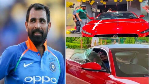 Mohammad Shami Mohammad Shami