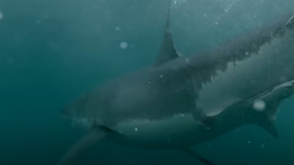 एकदम पास पहुंची