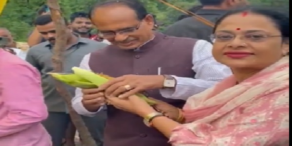 देर रात पहुंचे थे पंचमढ़ी