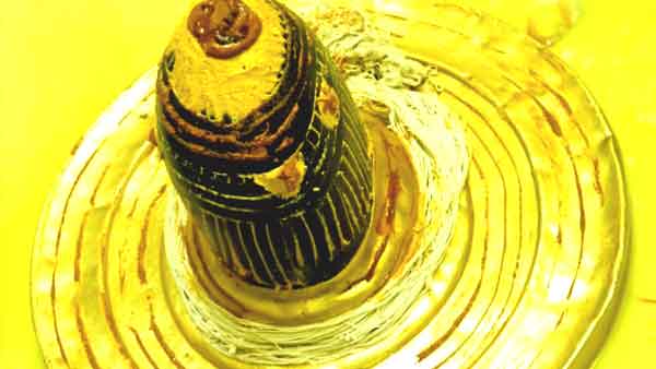 बाबा विश्वनाथ का किया गया रुद्राक्ष श्रृंगार बाबा विश्वनाथ का किया गया रुद्राक्ष श्रृंगार