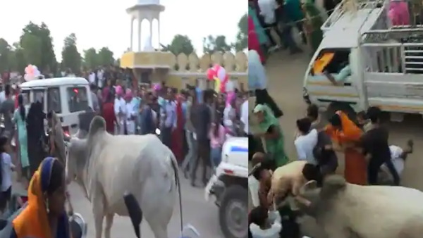 2 साल बाद इस बार तीज की सवारी निकली