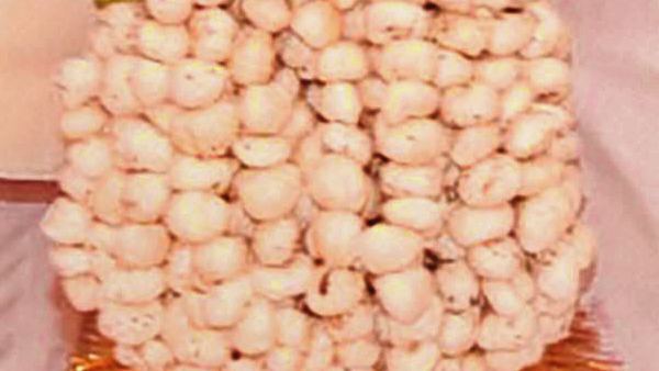 गोयल का दावा- किसानों को लाभ मिलेगा 