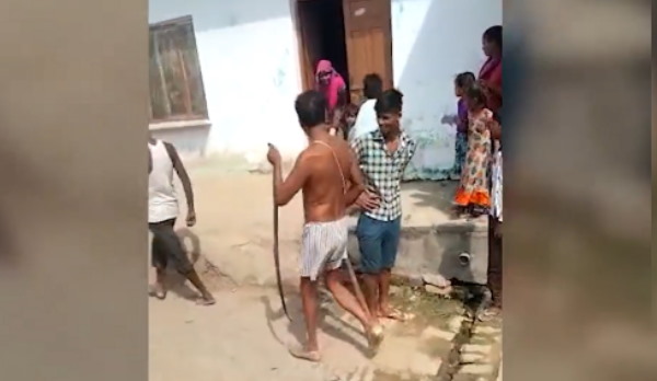सोशल मीडिया पर वायरल हुआ वीडियो