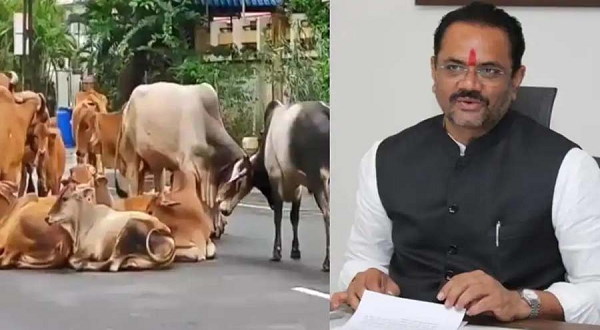 हर नगर पालिका में पशुशालाएं तैयार कराएगी सरकार 