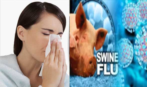 swine flu cg swine flu cg