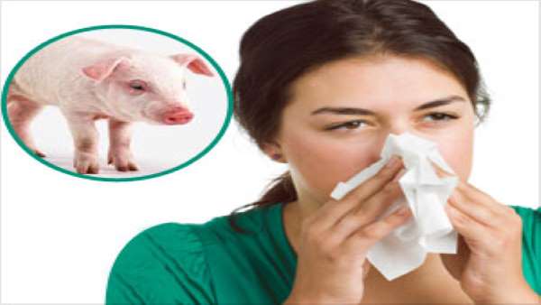 swine flu