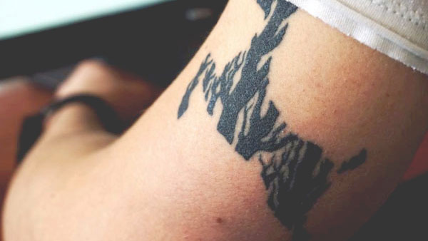 हैरान हुए फैंस