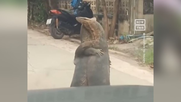 30 मिनट तक रोड पर ट्रैफिक रोक कर लड़ते रहे