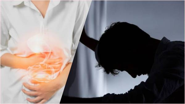 वैज्ञानिक आंत की बीमारी के लिए अचूक दवा बनाने की तैयारी में वैज्ञानिक आंत की बीमारी के लिए अचूक दवा बनाने की तैयारी में