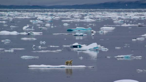 समुद्र का जलस्तर बढ़ेगा तो डर लगेगा