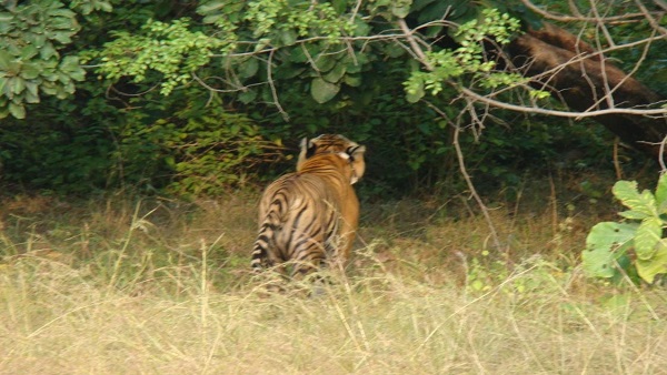 तालगांव पठार को बनाया था T-3 ने ठिकाना