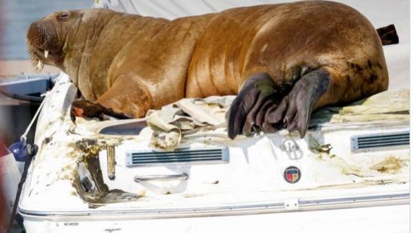 क्या थी मारने की वजह?