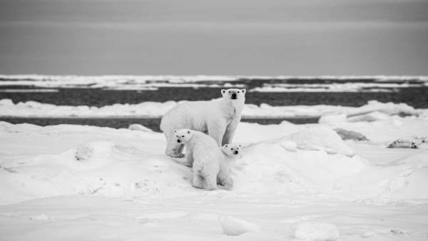 वैज्ञानिकों की चेतावनी
