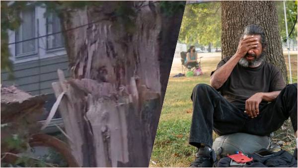 जलवायु परिवर्तन का असर