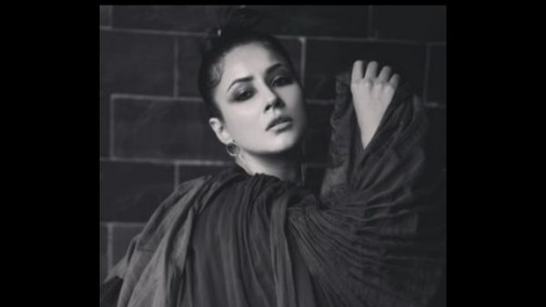 शहनाज के लिए बेताब फैंस