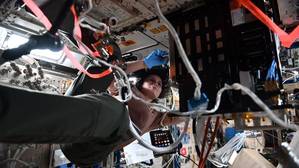 सामंथा क्रिस्टोफोरेटी ने भेजी बधाई