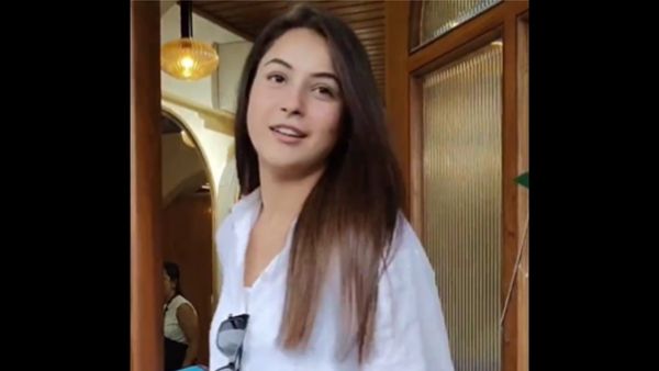 यूजर्स ने भाया शहनाज का अंदाज यूजर्स ने भाया शहनाज का अंदाज