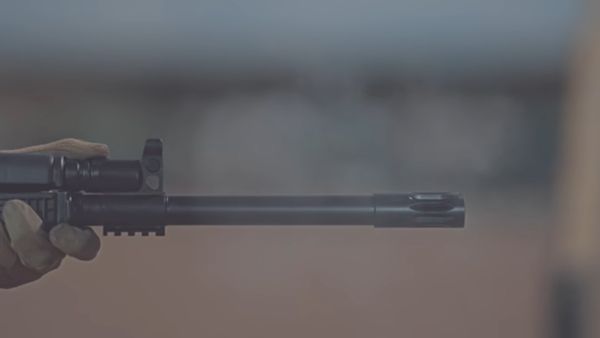 बुलेट का सूअर पर गंभीर असर