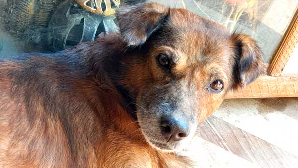 यूजर बोले-ग्रेट वर्क मेरे बच्चा