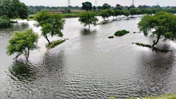 तटवर्ती क्षेत्रों में सैकड़ों एकड़ फसलें जलमग्न