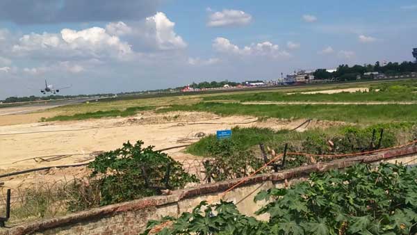 रनवे पर मिला मृत कबूतर